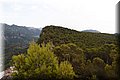 P8208755.JPG
