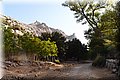 P8238765.JPG