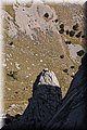 P8238778.JPG
