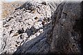 P8238837.JPG