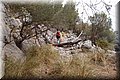 P8308906.JPG