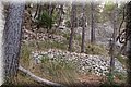P8308933.JPG