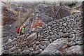 P9038995.JPG