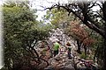 P9039006.JPG