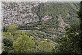 P9039033.JPG