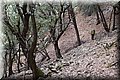 P9039041.JPG