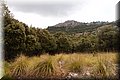 P9039042.JPG