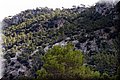 P9039058.JPG