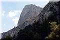 P9109397.JPG