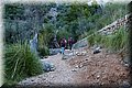 P9179535.JPG