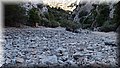 P9179570.JPG