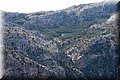 P9179586.JPG