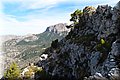 P9179591.JPG