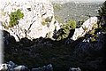 P9179592.JPG