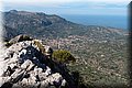 P9179600.JPG