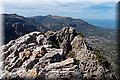 P9179603.JPG