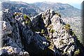 P9179604.JPG