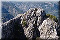 P9179605.JPG