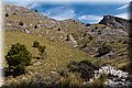 P9179608.JPG