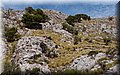 P9179612.JPG