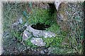 P9249787.JPG