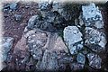 P9249789.JPG