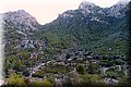 P9249805.JPG
