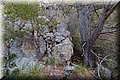 P9249822.JPG