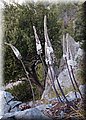 P9249833.JPG