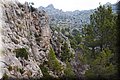 P9249840.JPG