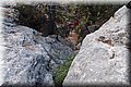 P9249842.JPG