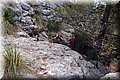 P9249846.JPG