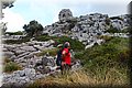 P9249851.JPG