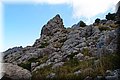 P9249857.JPG