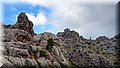 P9249863.JPG