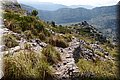 P9249868.JPG