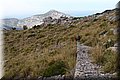 P9249874.JPG