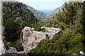 P9249904.JPG