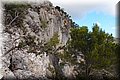 PA019950.JPG