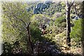 PA019977.JPG