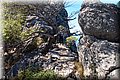 PA040065.JPG
