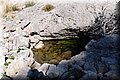 PA040111.JPG