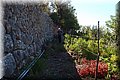 PA040137.JPG