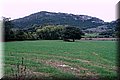 PA150224.JPG