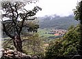 PA150231.JPG