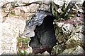 PA150243.JPG