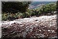 PA150264.JPG