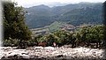 PA150266.JPG