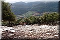 PA150267.JPG