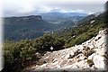 PA150269.JPG